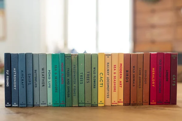 Masadaki Farklı Bilimsel Alanlarla Ilgili Renkli Kitapların Yakın Çekimi — Stok fotoğraf