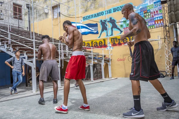 Havana Kuba April 2019 Die Boxer Aus Einem Viertel Alt — Stockfoto