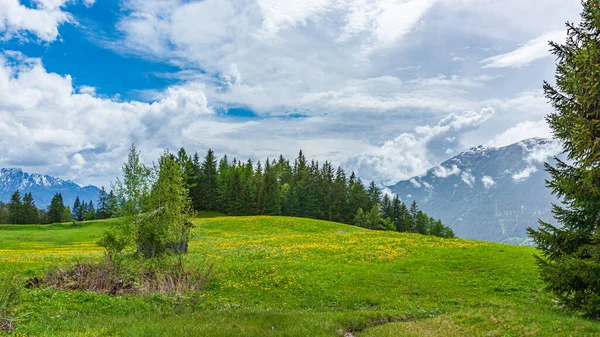 Hermoso Campo Paisaje Contra Cielo Nublado — Foto de Stock