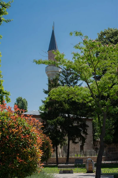 Een Verticaal Shot Van Moskee Koepel Met Groene Tuin Bomen — Stockfoto