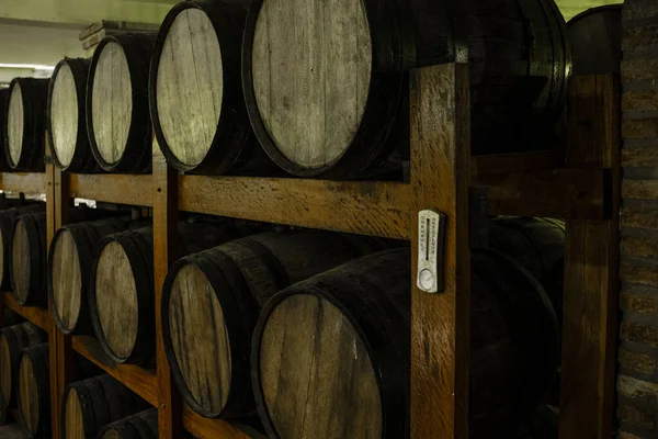 Grande Adega Para Reserva Vinhos Interior Estado São Paulo Brasil — Fotografia de Stock