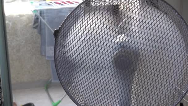 Ventilatore Ufficio Casa Retrò Portatile Modalità Lavoro Piedi Sul Pavimento — Video Stock