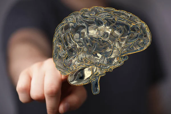 Detailní Záběr Muže Ukazujícího Vykreslený Lidský Mozek Anatomický Model — Stock fotografie