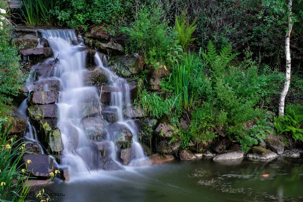 Een Schilderachtig Uitzicht Een Waterval Het Bos Omgeven Door Weelderige — Stockfoto