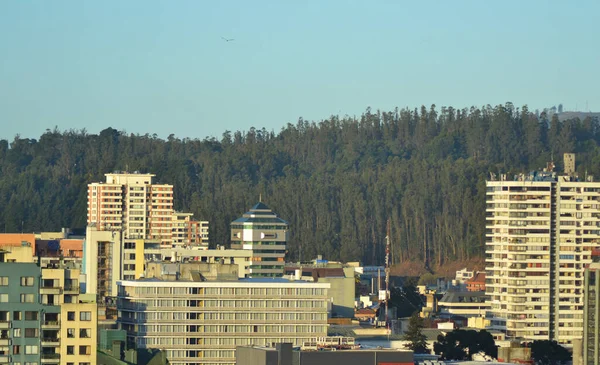 Över Höga Soliga Byggnader Med Skog Höga Gröna Träd Och — Stockfoto