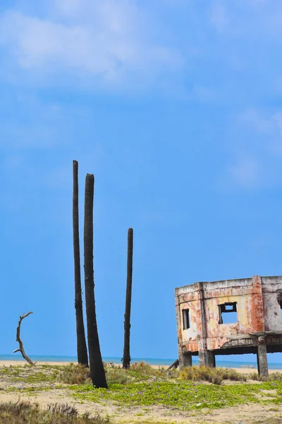 Tiro Vertical Ruínas Construção Campo Beira Mar — Fotografia de Stock