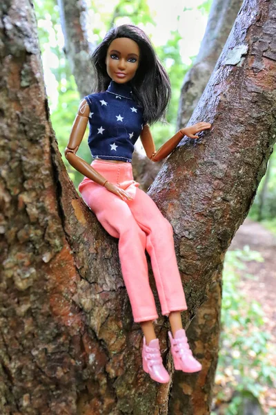 Greenville United States Aug 2021 Closeup Brunette Dark Skinned Barbie — Stock Photo, Image