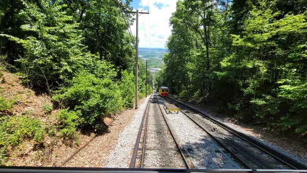 Vlak Projíždějící Lesem Slunečného Dne — Stock fotografie
