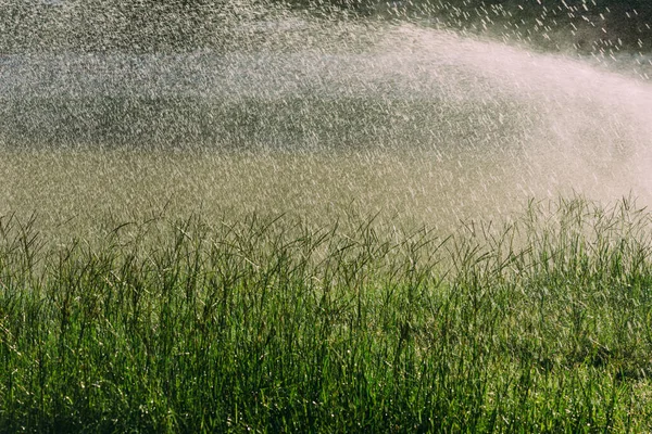 Das Grünland Wird Einem Sonnigen Tag Bewässert — Stockfoto