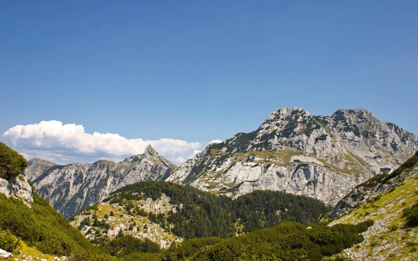 Krásná Krajina Skalnatých Hor Pokrytá Mechem Slunečného Dne — Stock fotografie