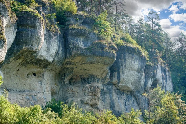 Вид Крупним Планом Зелену Природу Висока Верхня Поверхня Великих Каменів — стокове фото