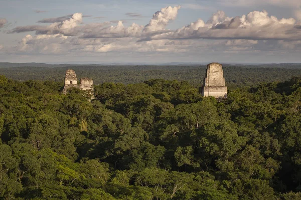 Toma Aérea Tikal Guatemala — Foto de Stock