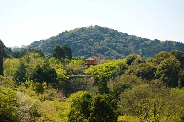 日本京都Kiyomizu Dera寺庙的风景 — 图库照片