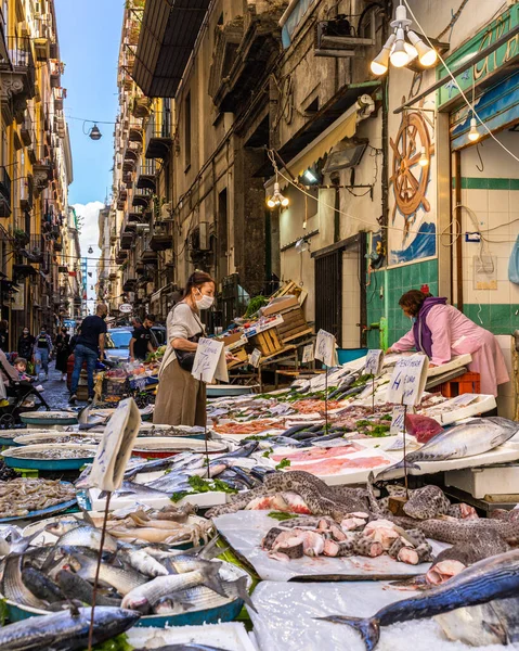 Naples Italy Aug 2021 Typical Pignasecca Fish Market Naples Historic — Stock Photo, Image