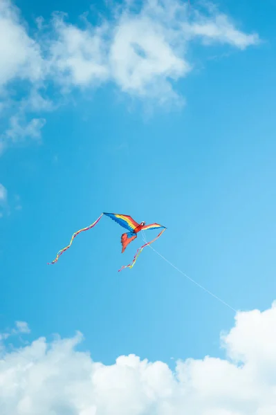 Färgglad Drake Den Blå Himlen Dagtid — Stockfoto