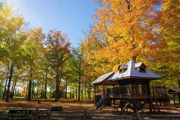 Живописный Вид Деревянные Здания Лесу Окруженный Красочной Природой Осенью — стоковое фото