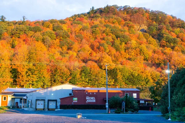 Uma Vista Panorâmica Uma Colina Envolta Árvores Coloridas Durante Outono — Fotografia de Stock