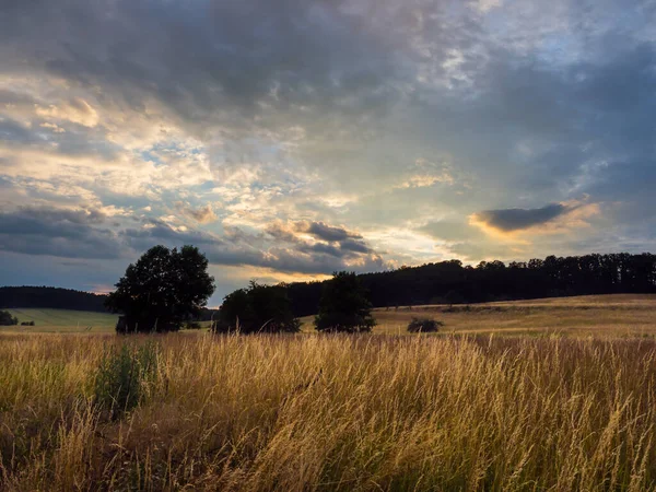 夕阳西下麦田的风景 — 图库照片
