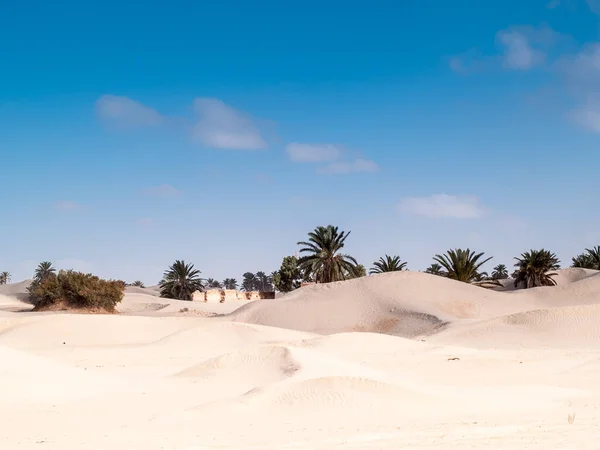 Paisaje Desértico Dunas Douz Túnez — Foto de Stock