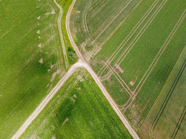 Вид Сверху Узкие Дороги Между Частями Широкого Травянистого Поля — стоковое фото