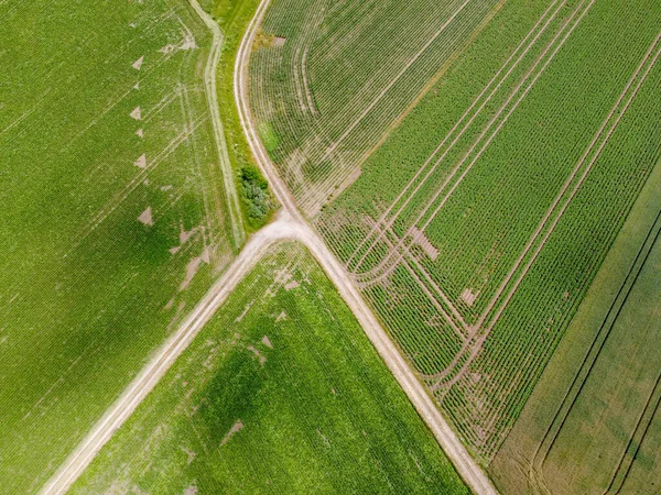 Top View Shot Narrow Roads Parts Wide Grassy Field — Stock Photo, Image