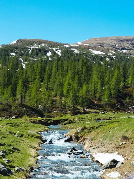 Vertical Shot Alpine River Flowing Meadows Devero Alp Piedmont Italy — Stok Foto
