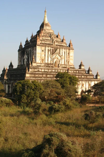 Plano Vertical Hermoso Templo Budista Rodeado Árboles Bagan Myanmar —  Fotos de Stock