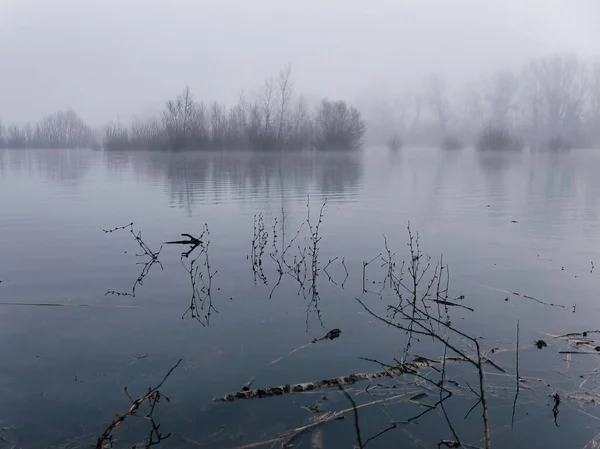 Uma Cena Horizontal Lago Nebuloso Com Pequenos Galhos Pela Manhã — Fotografia de Stock