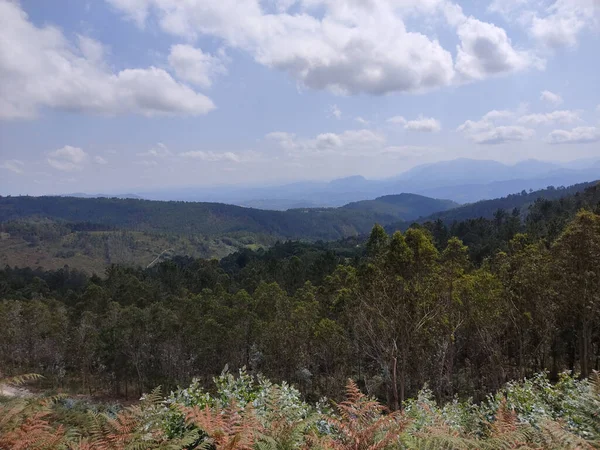 Вид Горы Густой Лес Голубым Небом Облаками — стоковое фото