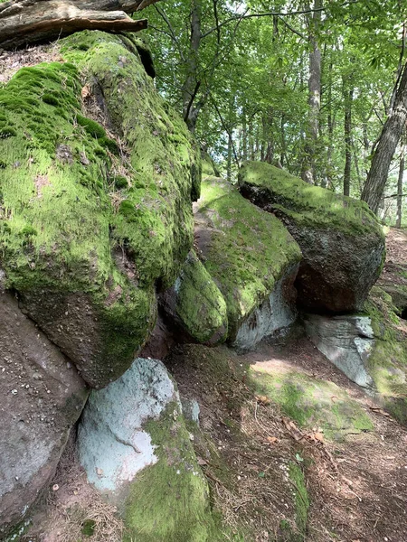 Disparo Vertical Rocas Cubiertas Musgos Bosque Luz Del Día —  Fotos de Stock