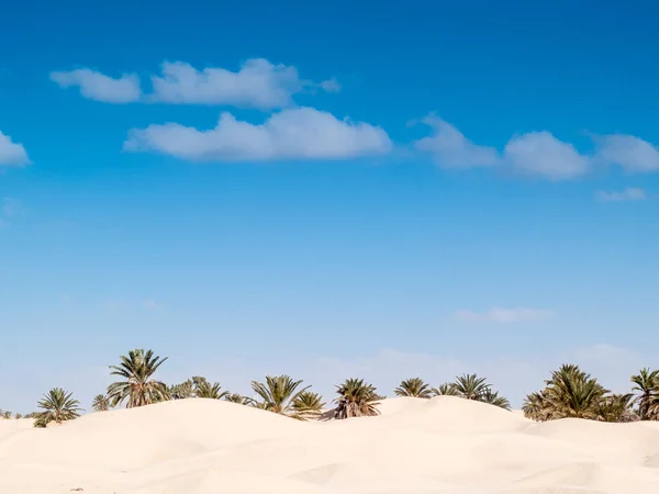 Paysage Désertique Dunes Douz Tunisie — Photo