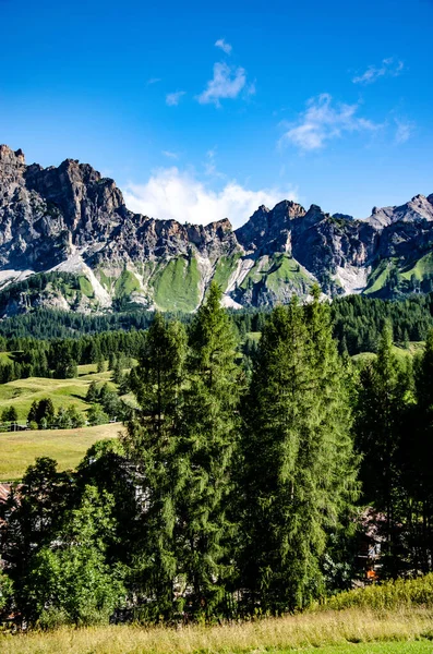 青い空の下の森と山の垂直ショット — ストック写真