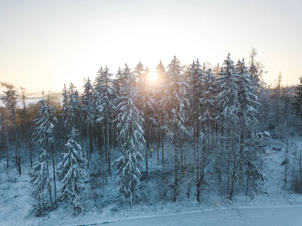 日没時の雪に覆われた森のドローン写真 — ストック写真