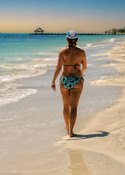 Una Foto Panoramica Una Donna Dietro Che Indossa Bikini Blu — Foto Stock