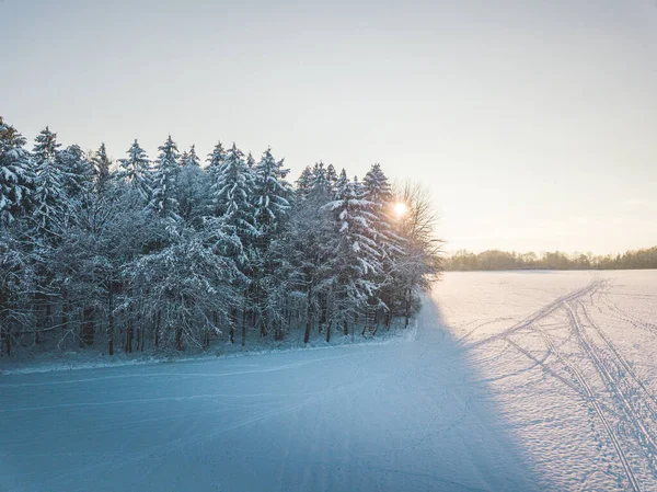 日没時の雪に覆われた森のドローン写真 — ストック写真