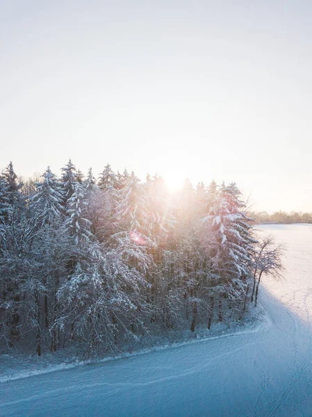 Drone Foto Uma Floresta Coberta Neve Durante Pôr Sol — Fotografia de Stock