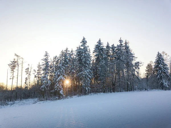 日没時の雪に覆われた森のドローン写真 — ストック写真