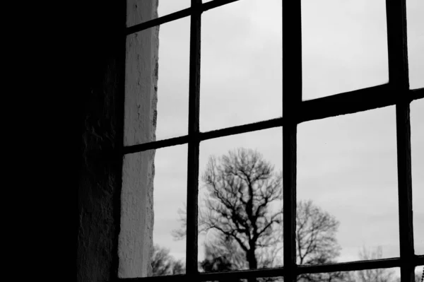 古い建物の大きな窓から見た裸の木の景色のグレースケールショット — ストック写真