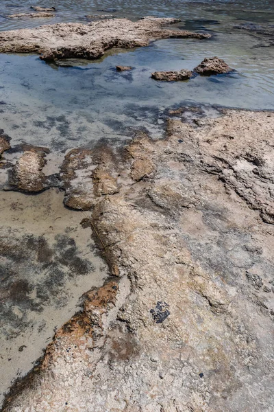 Een Verticale Natuurlijke Weergave Van Bodemgeologische Formatie Aan Kant Van — Stockfoto