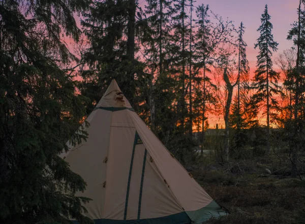 Veduta Una Tenda Nella Foresta Tramonto — Foto Stock