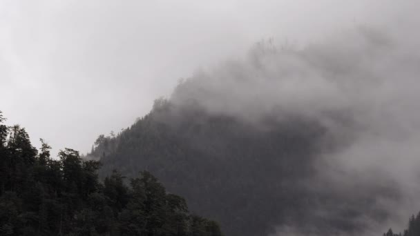 Όμορφο Τοπίο Ομίχλη — Αρχείο Βίντεο