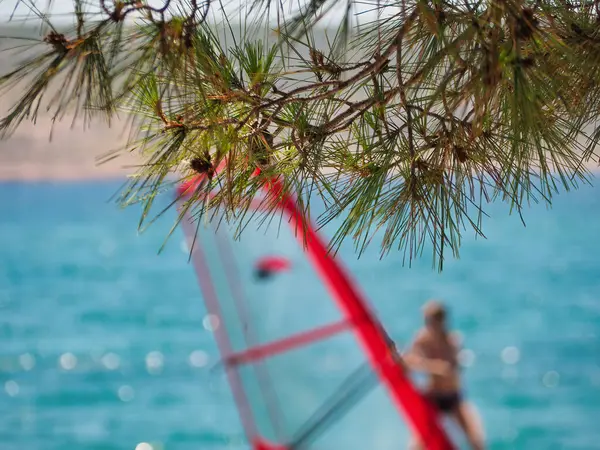 Las Ramas Pino Junto Mar Con Hombre Surfeando Fondo — Foto de Stock