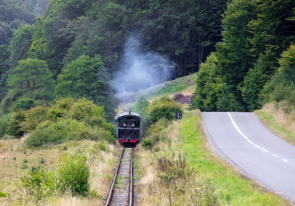 Sovata Romania Серпня 2021 Старий Вузький Поїзд Туристами Курорту Совата — стокове фото