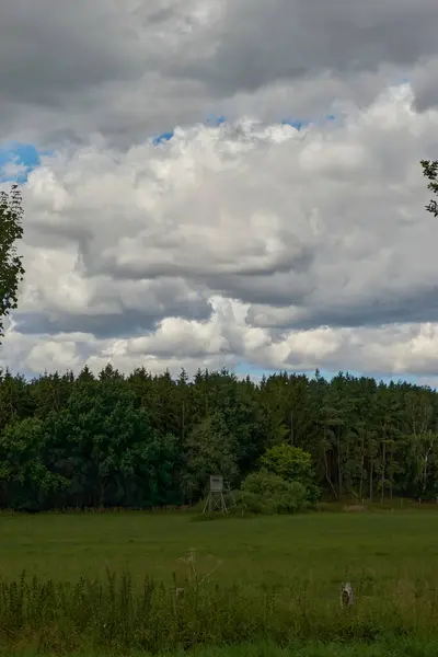 Een Van Hout Jacht Verstoppertje Een Veld — Stockfoto