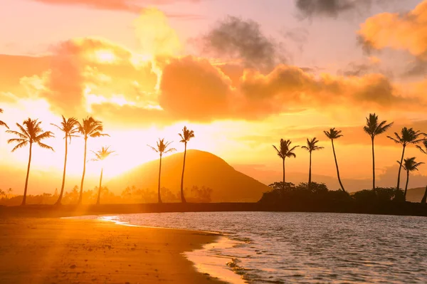 Una Hermosa Vista Una Playa Con Palmeras Altas Fondo Amanecer — Foto de Stock