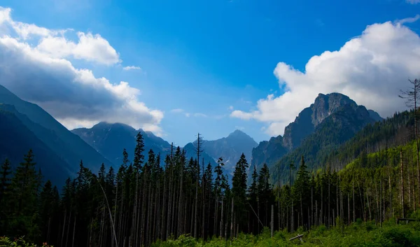 Ein Malerischer Blick Auf Die Tatra Vor Blauem Himmel — Stockfoto