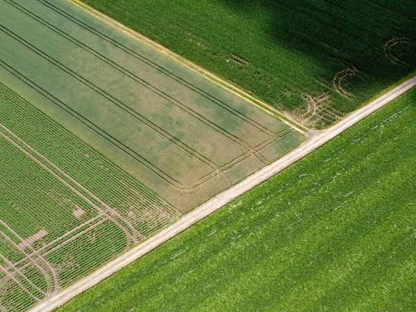 Gröna Fälten Himlen Sett Ovanifrån — Stockfoto