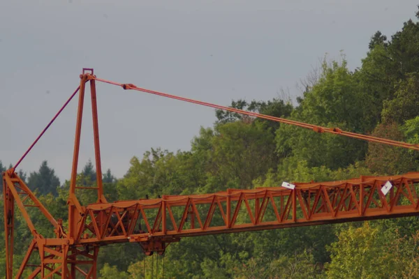 Detail Rust Red Crane Edge Forest — Stock Photo, Image