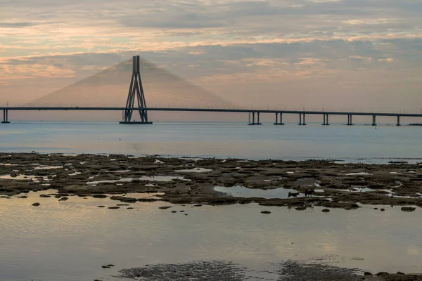 Beautiful View Pier Shivaji Park Mumbai India — Stock Photo, Image