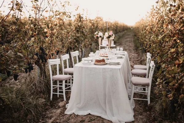 Trouwtafel Met Prachtige Decoraties Buiten — Stockfoto